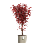 eden aquacare low 40cm sanftes Taupe